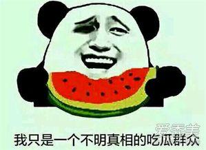 吃瓜是指什么意思,网络热词背后的文化现象